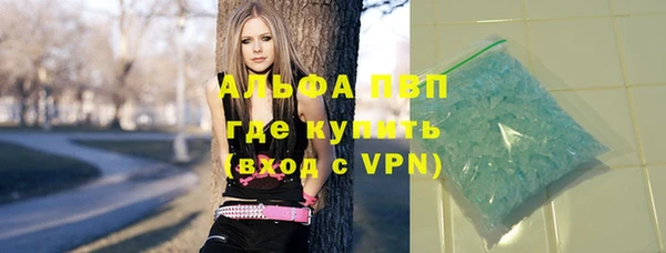 мдпв Богданович