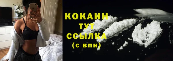 ешки Богородицк