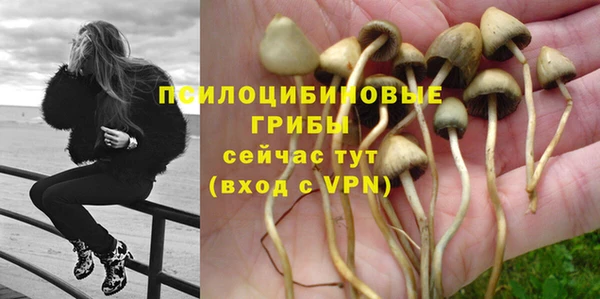 мдпв Богданович